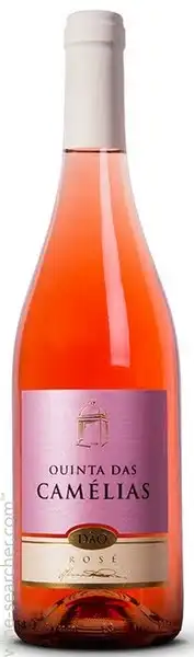 Quinta Das Camelias DAO Rose